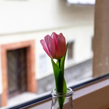 Apartman Castle Way Tamy *