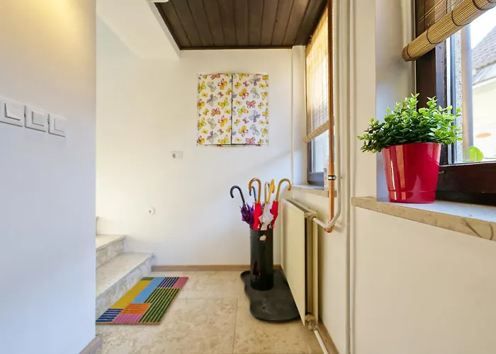 Castle Way Tamy בלד