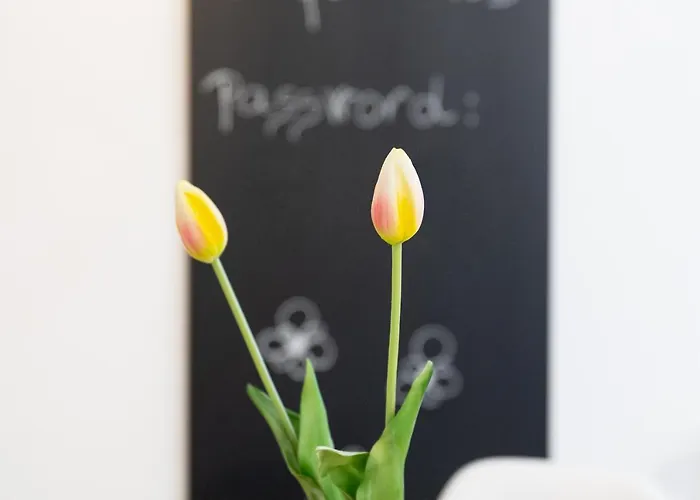 Castle Way Tamy Appartement Bled