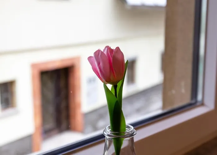 Apartament Castle Way Tamy *